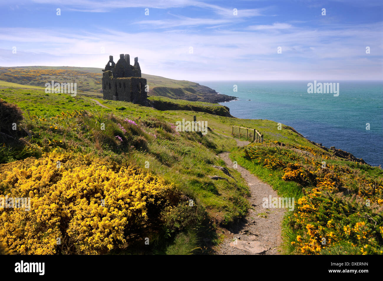 Frühling-Blick Richtung Dunskey Burgruine auf rührende in der Nähe von Portpatrick, Dumfries und Galloway Stockfoto