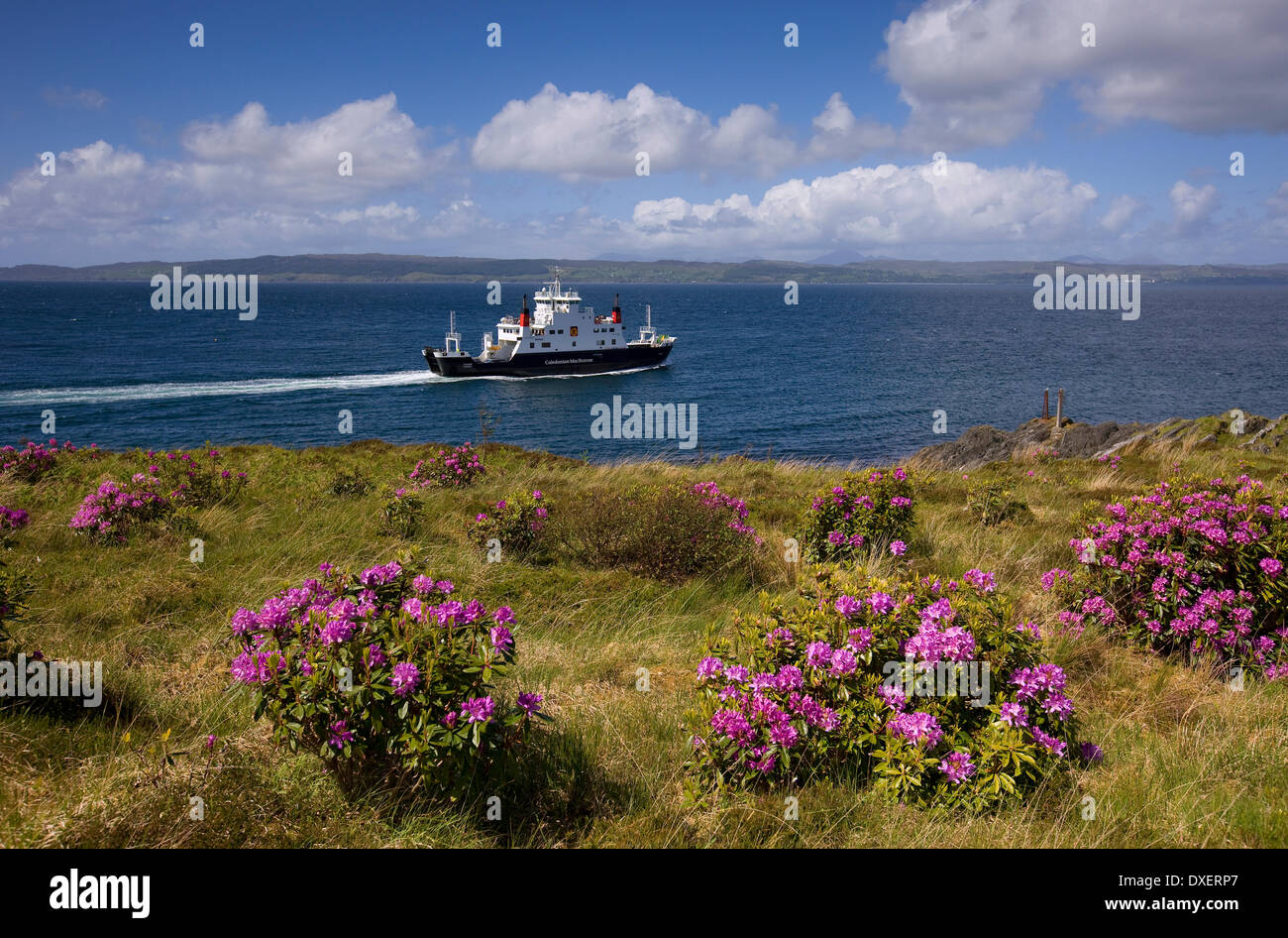 Das Caledonian Macbaryne ferry "Coruisk" Abreise von Mallaig nach Armadale auf Skye. Stockfoto