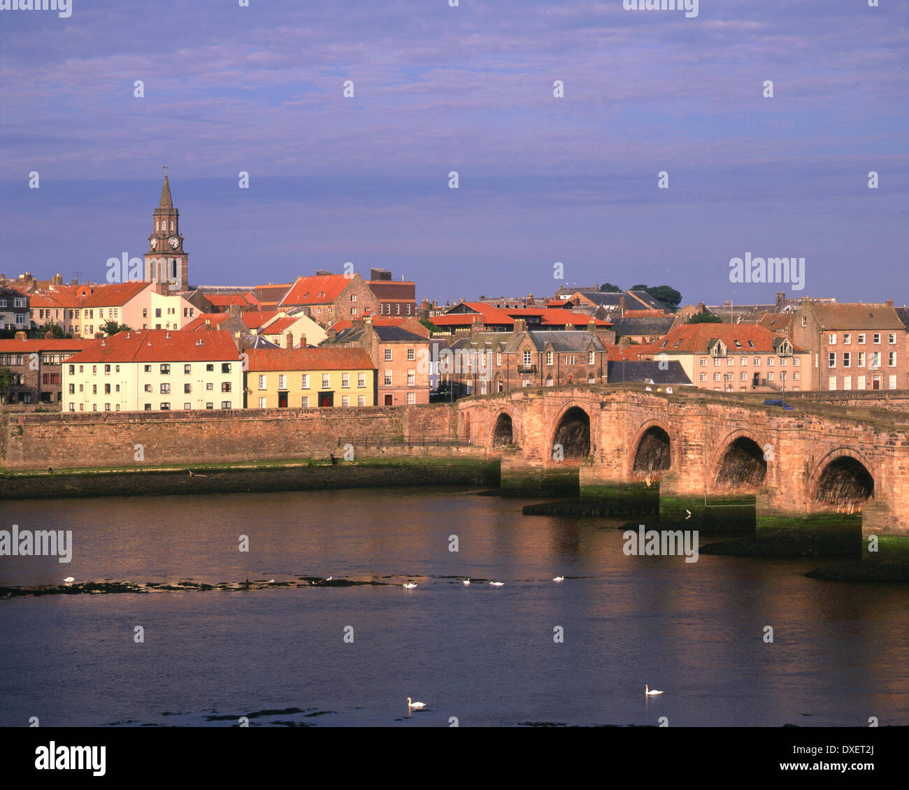 Die alte Brücke über den Fluss Tweed in Richtung Berwick-Upon-Tweed, Scottish Borders. Stockfoto