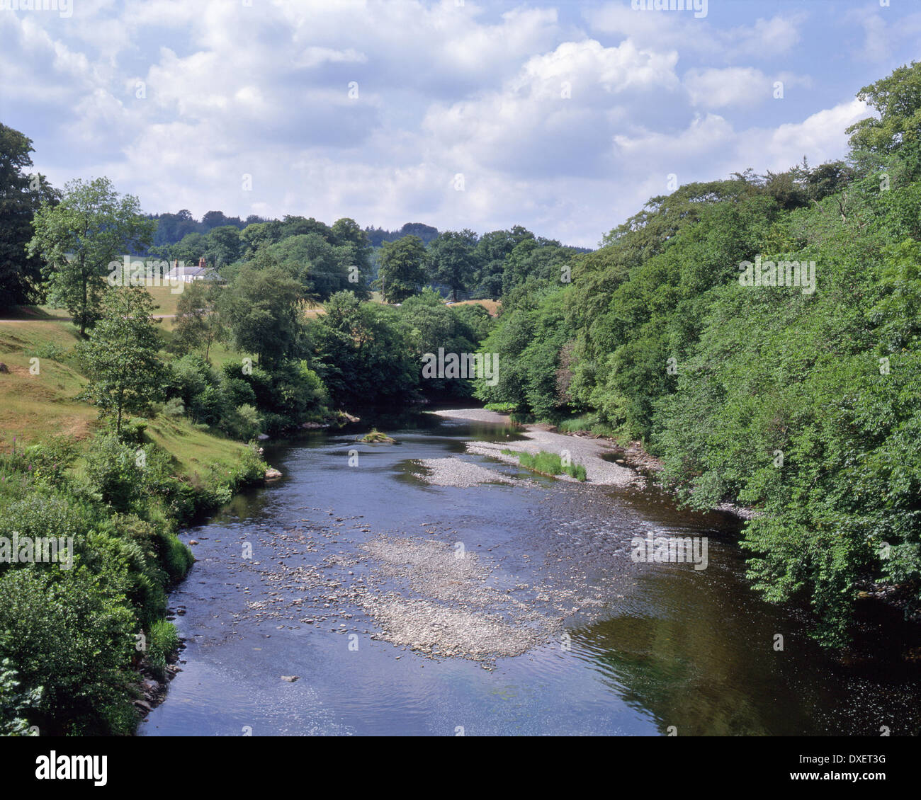 Der Fluss Nith Blick nach Norden in der Nähe von Drumlanrig, Nithsdale, Dumfries und Galloway. Stockfoto