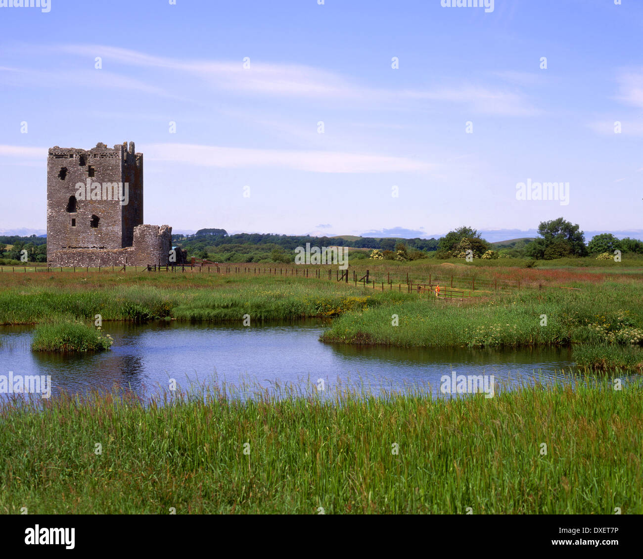 Threave Castle auf einer Insel auf dem Fluß Dee, Dumfries und Galloway. Stockfoto
