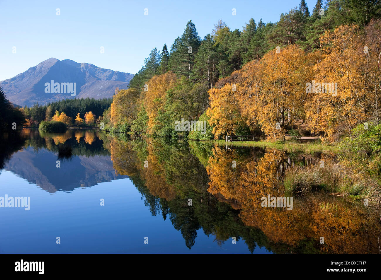 Ruhiger Herbst Reflexionen auf den man Spuren einer fernen Ben Vair, Glencoe, West Highlands Stockfoto