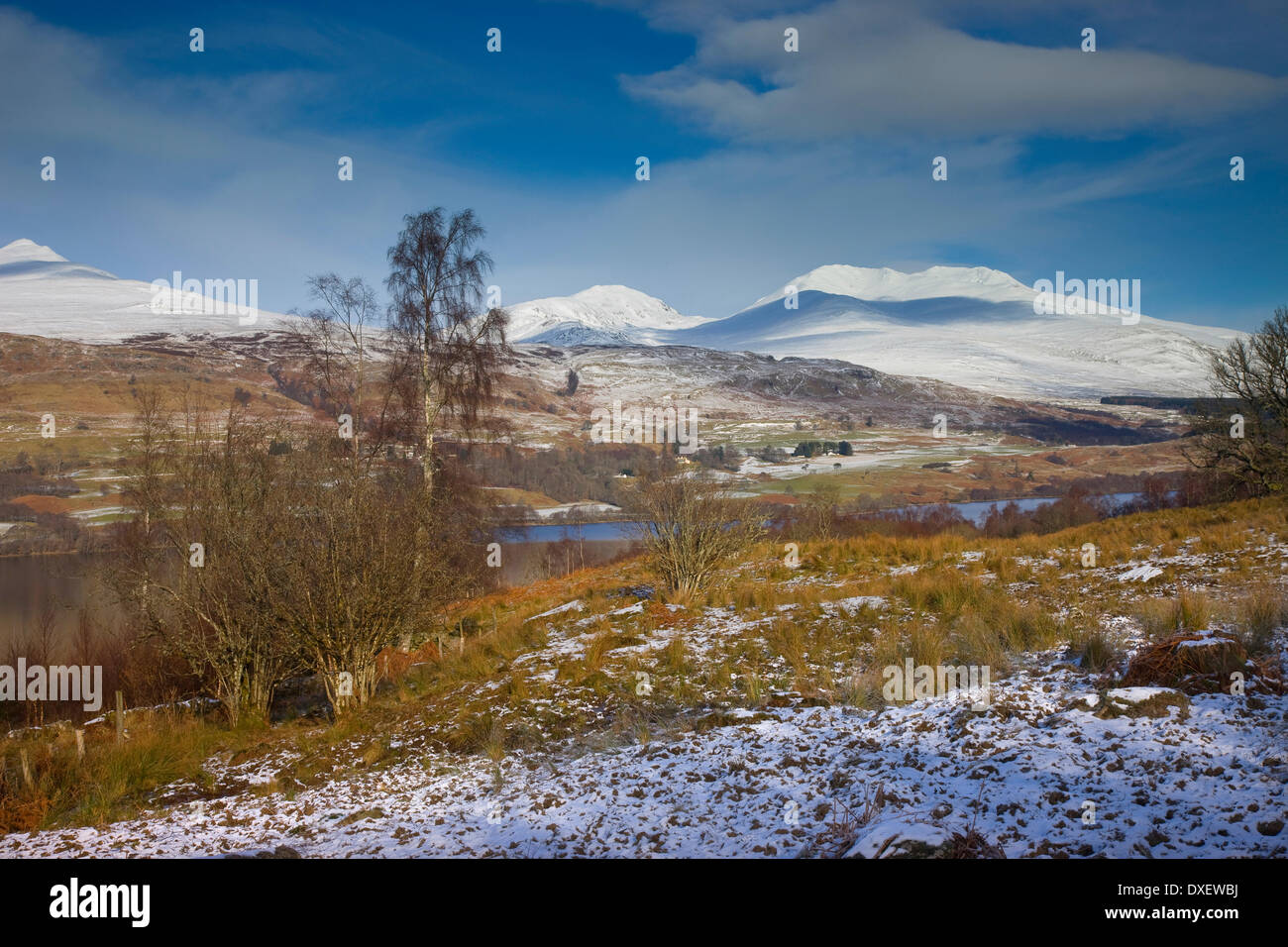 Winter-Szene über Loch Tay, Perthshire Stockfoto