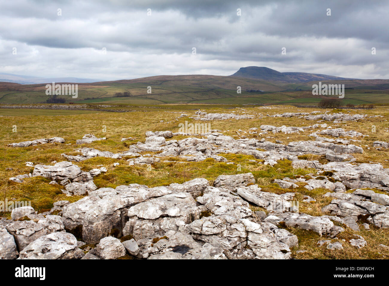 Pen-Y-Gent aus Winskill Steinen in der Nähe niederzulassen Yorkshire Dales England Stockfoto