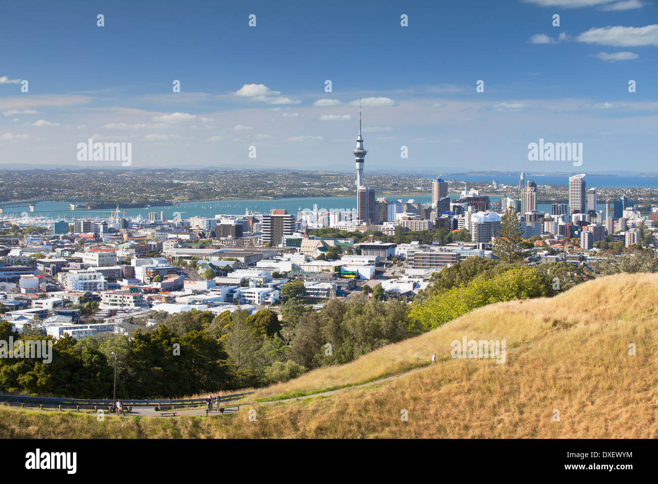Blick auf Auckland von Mount Eden, Auckland, Nordinsel, Neuseeland Stockfoto