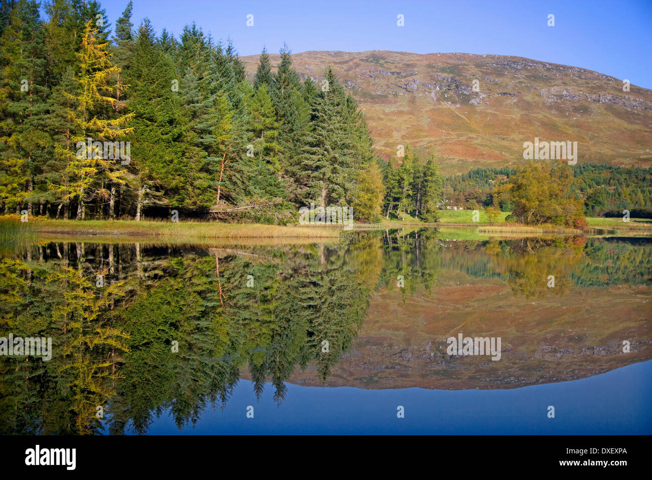 Herbst Reflexionen Loch Lubhair, Perthshire Stockfoto