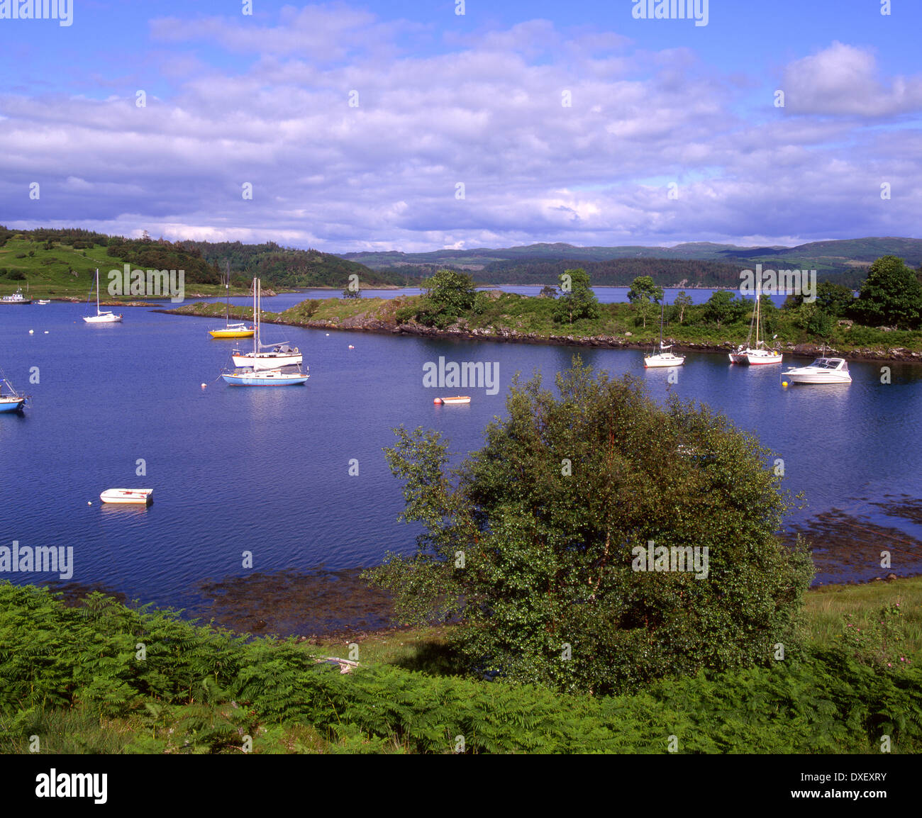 Yachten bethed nr Tayvallich auf Loch Sween, Knapdale, Argyll. Stockfoto