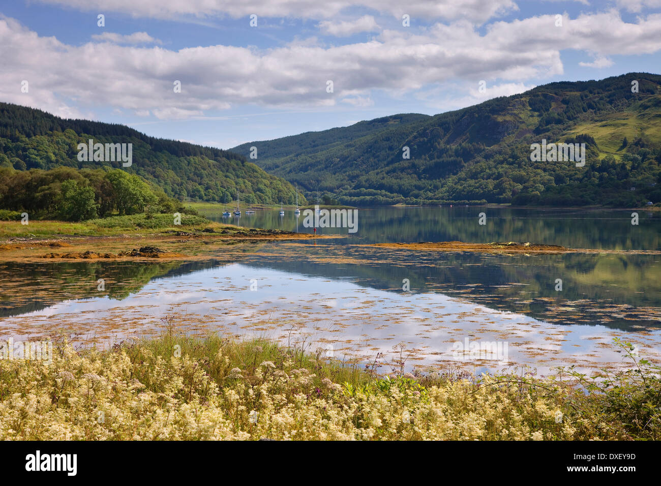 Morgen-Reflexionen über Loch Feochan, Argyll Stockfoto