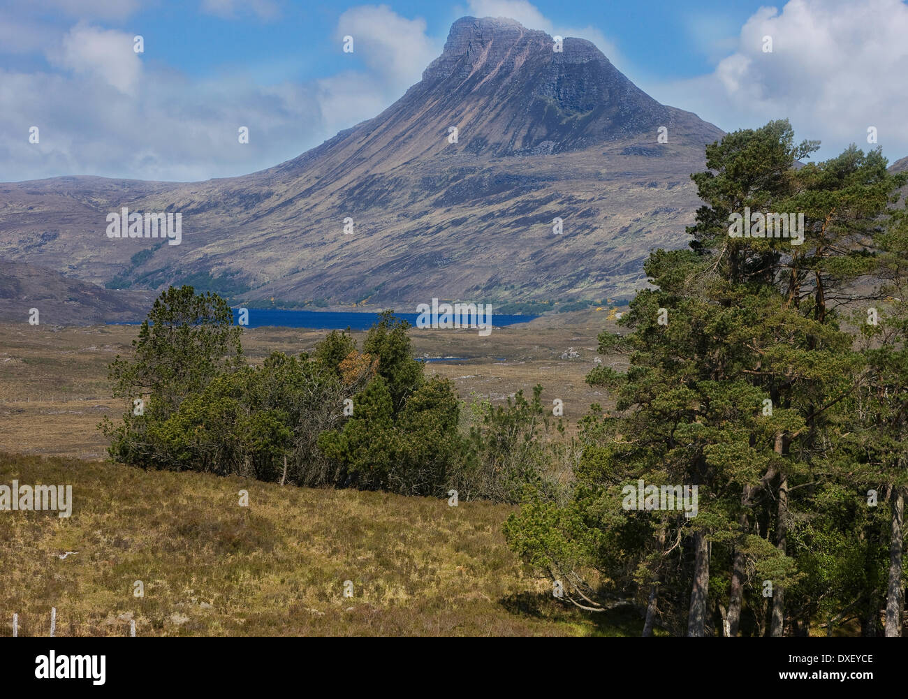 Tele-Blick auf Stac Pollaidh (Polly) Inverpolly, Sutherland, N/W Hochland. Stockfoto