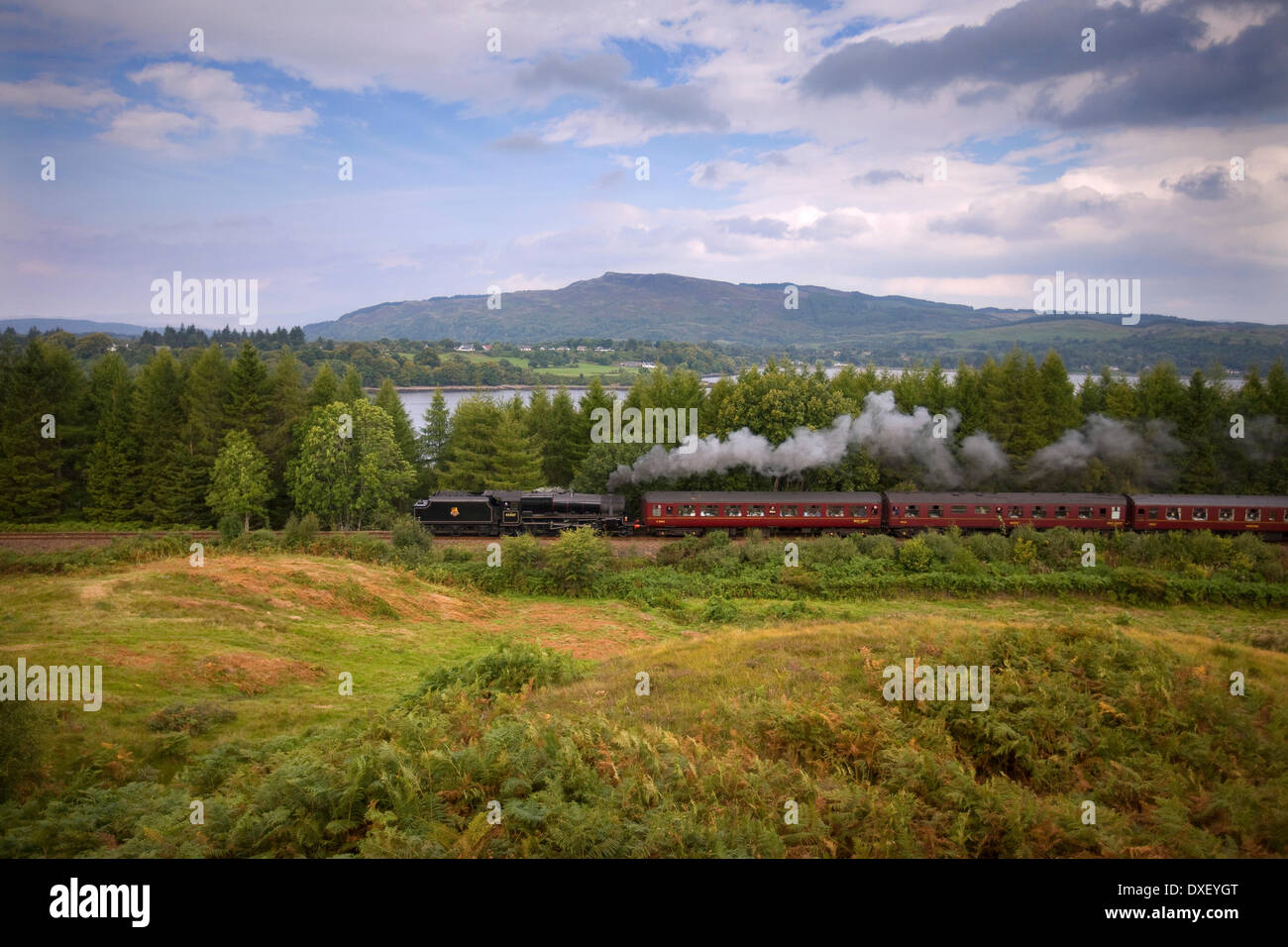 5 "Sherwood Forrester" am Loch Etiveside, Argyll schwarz Stockfoto