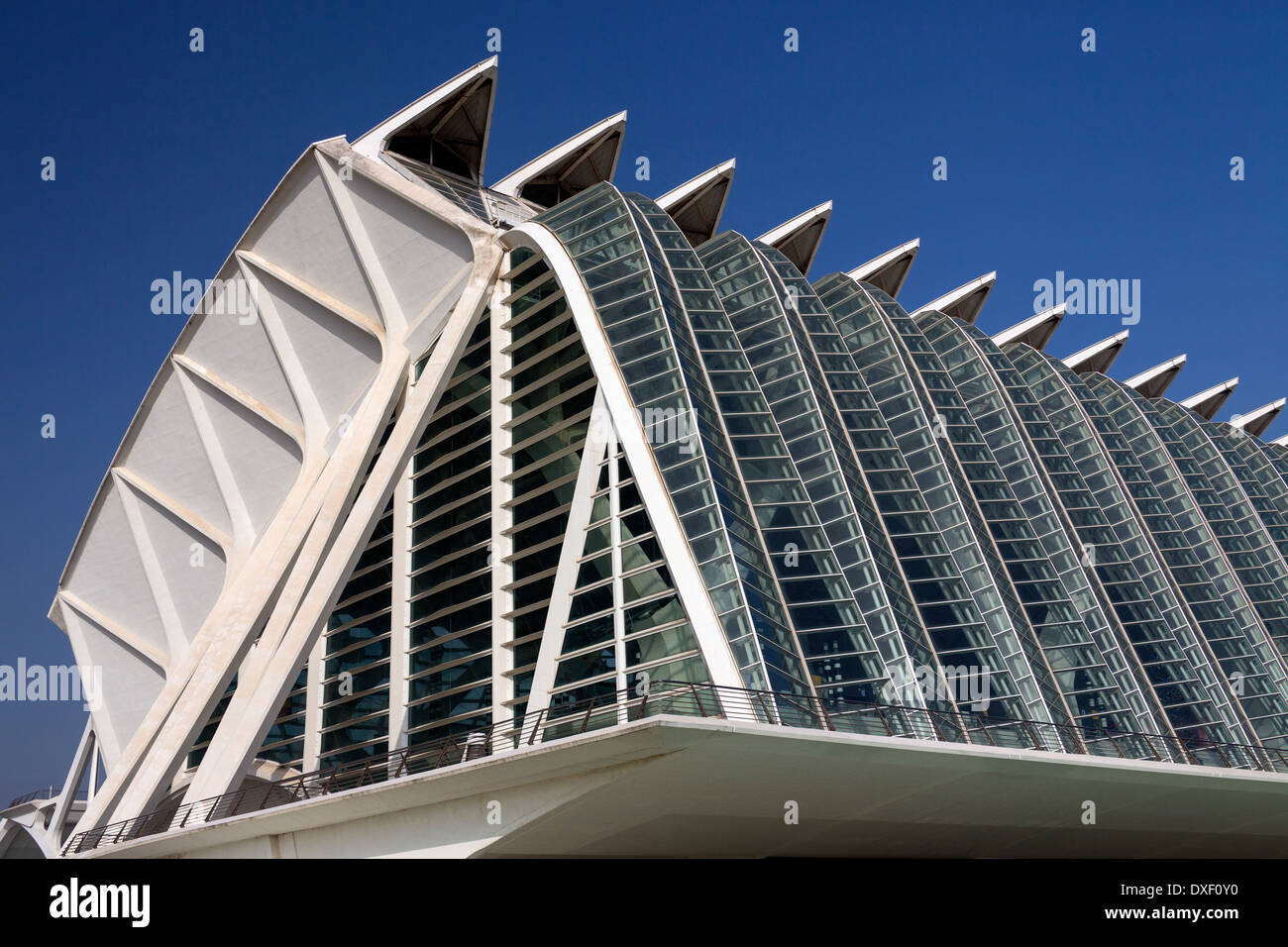 Futuristische Architektur der Ciutat de Les Arts ich de Les Effizienzgewinne (Stadt der Künste und Wissenschaften) die Stadt von Valencia, Spanien. Stockfoto