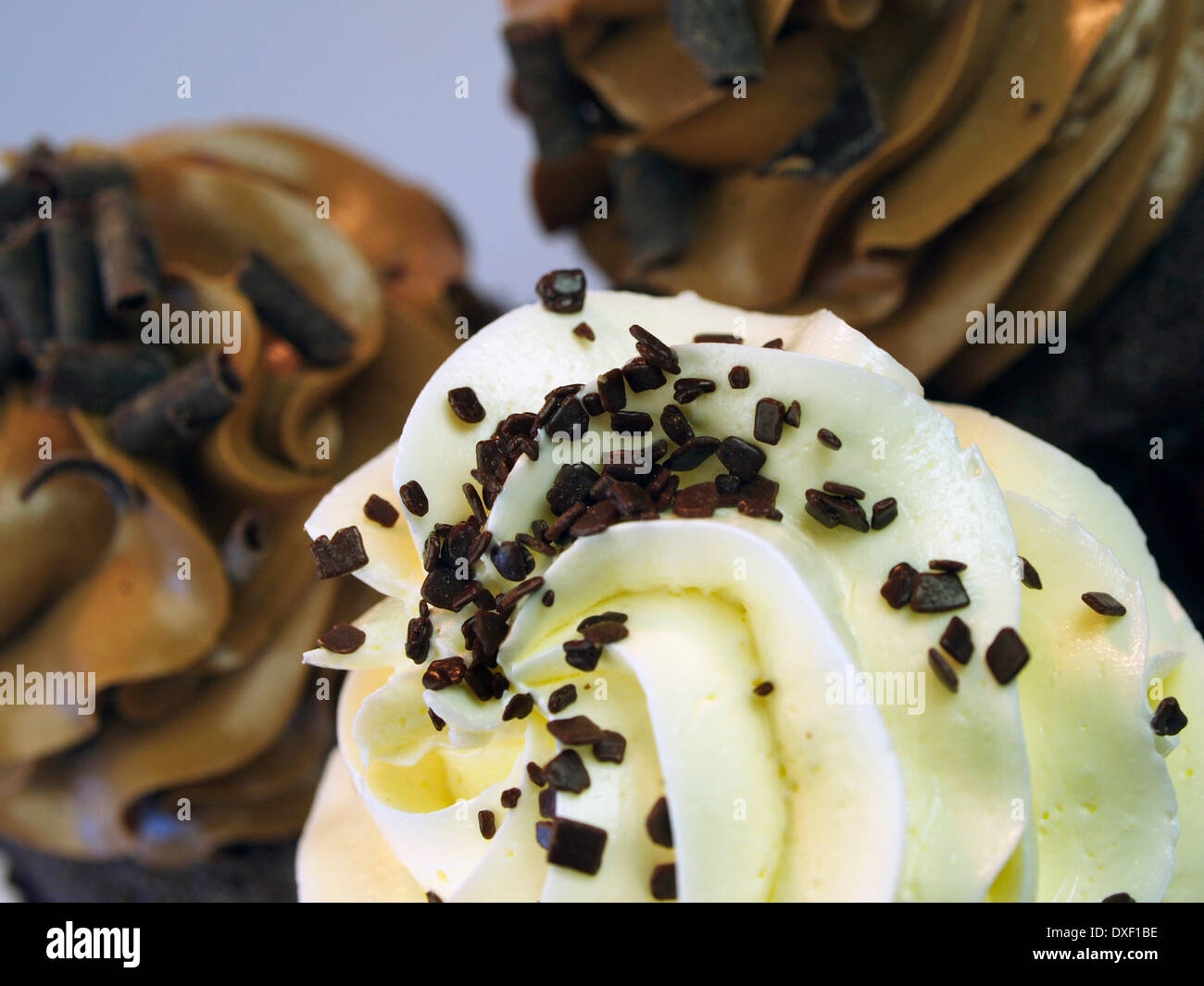 Schokolade und Vanille Cupcakes hautnah im Studio Stockfoto