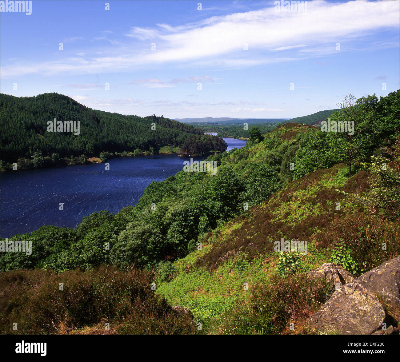 Loch Trool, Glen Trool, Dumfries und Galloway Stockfoto