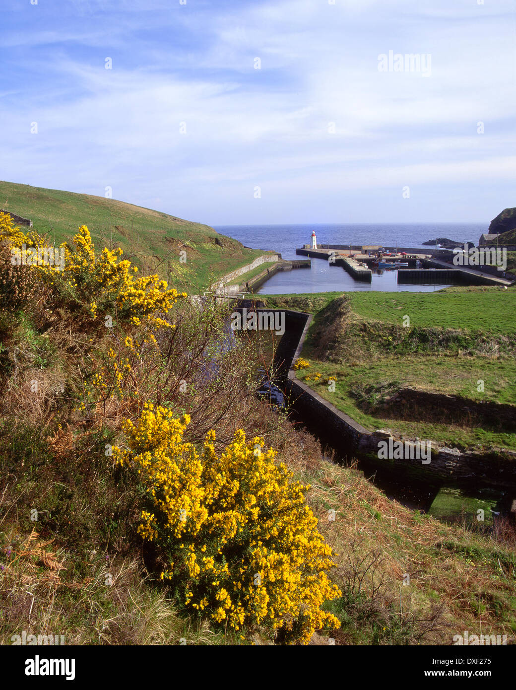 Lybster Hafen, Caithness, N/E Schottland Stockfoto