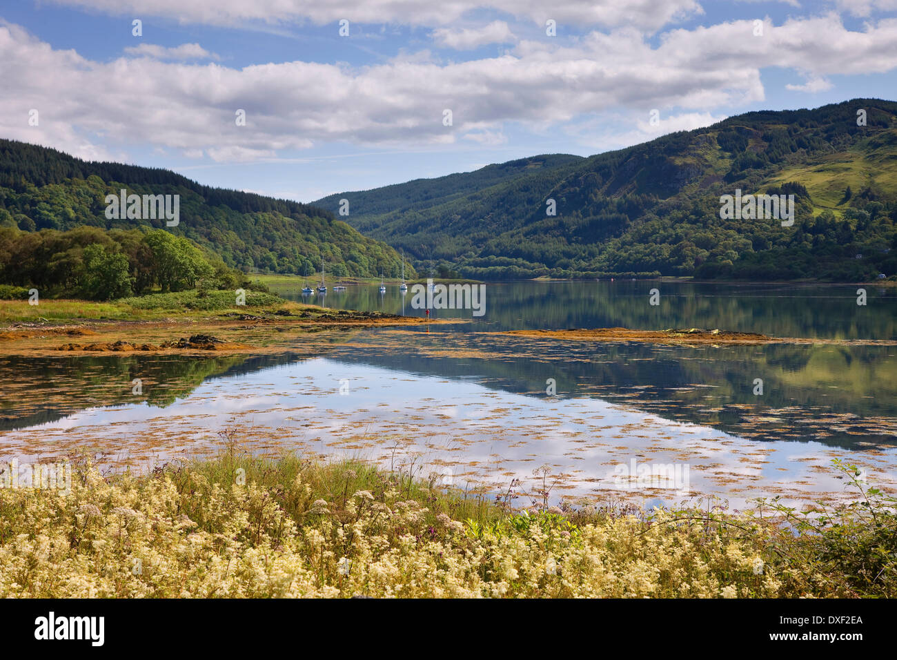 Morgen-Reflexionen über Loch Feochan, Argyll Stockfoto