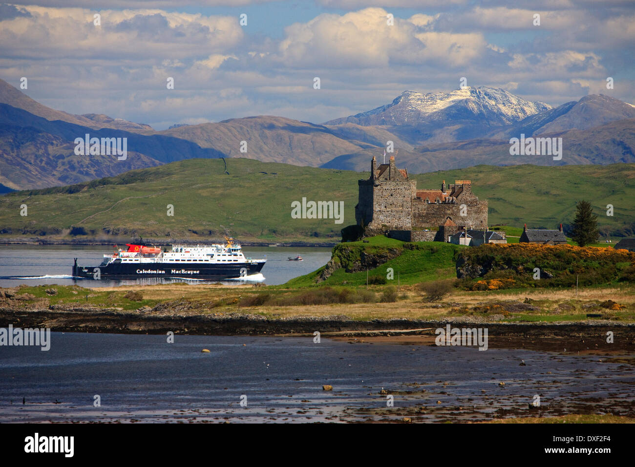 Die MV Clansman übergibt Duart Castle, Isle of Mull, Argyll Stockfoto