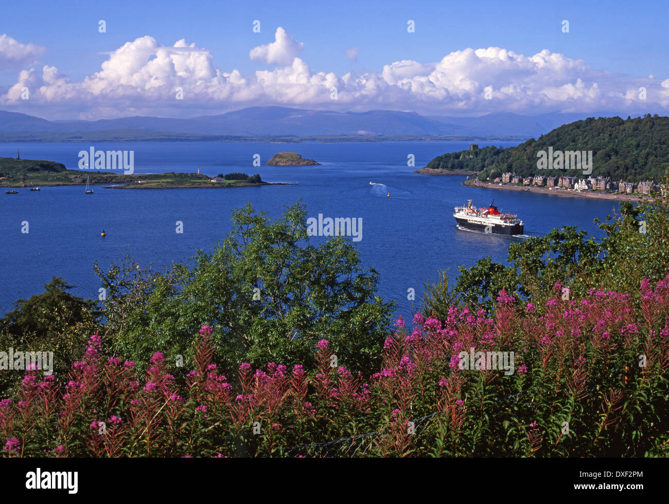 Oban Bay vom Pulpt Hill. Stockfoto