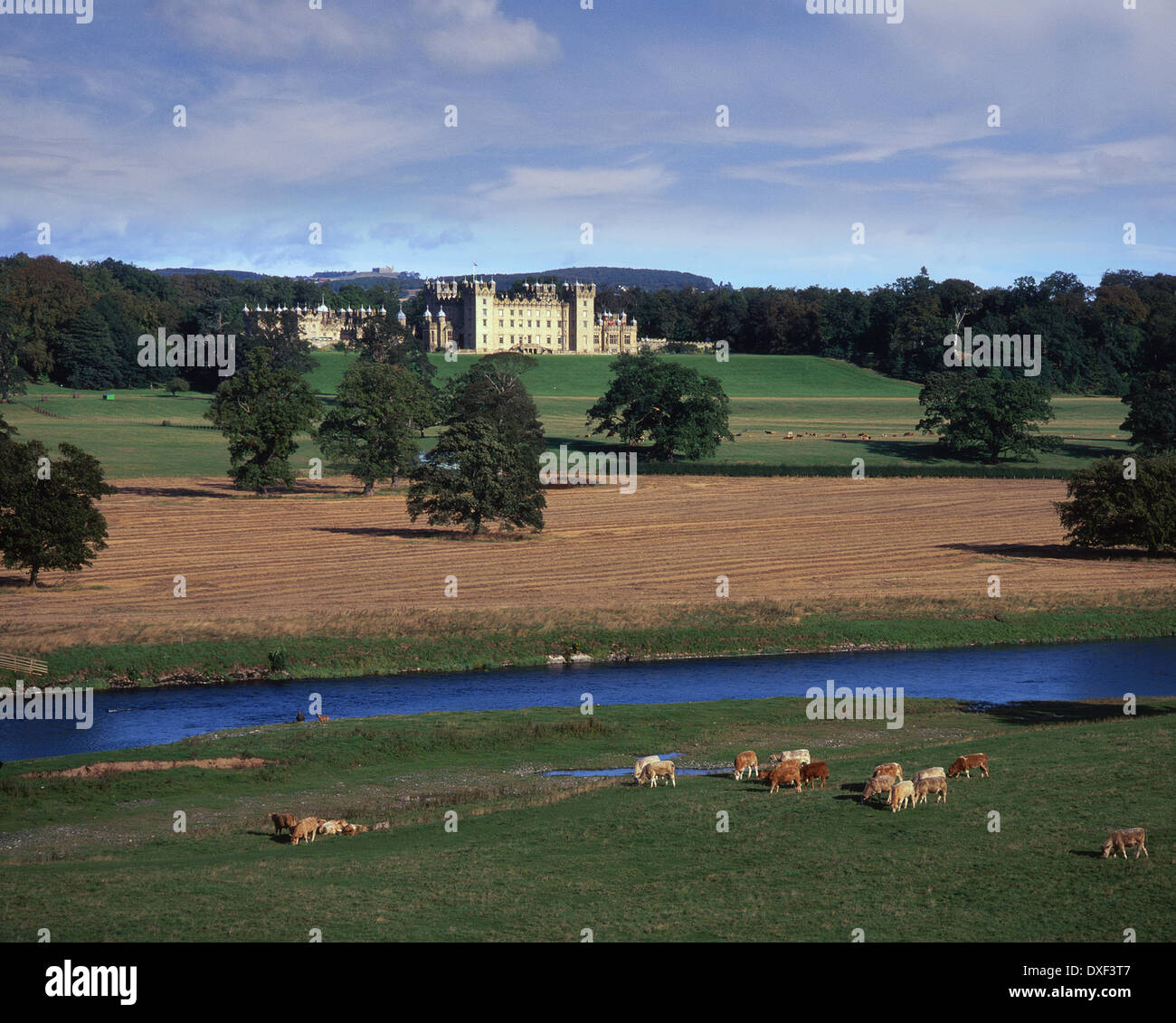 Über dem Fluss Tweed in Richtung einer fernen Floors Castle, entworfen von William Adam, Nr Kelso, Scottish Borders Stockfoto