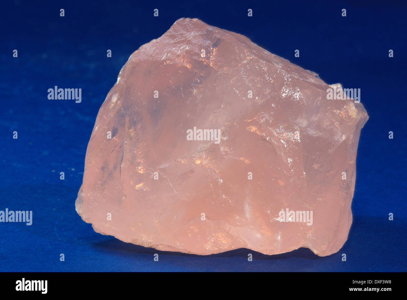 eine geologische Probe aus Rosenquarz. Stockfoto