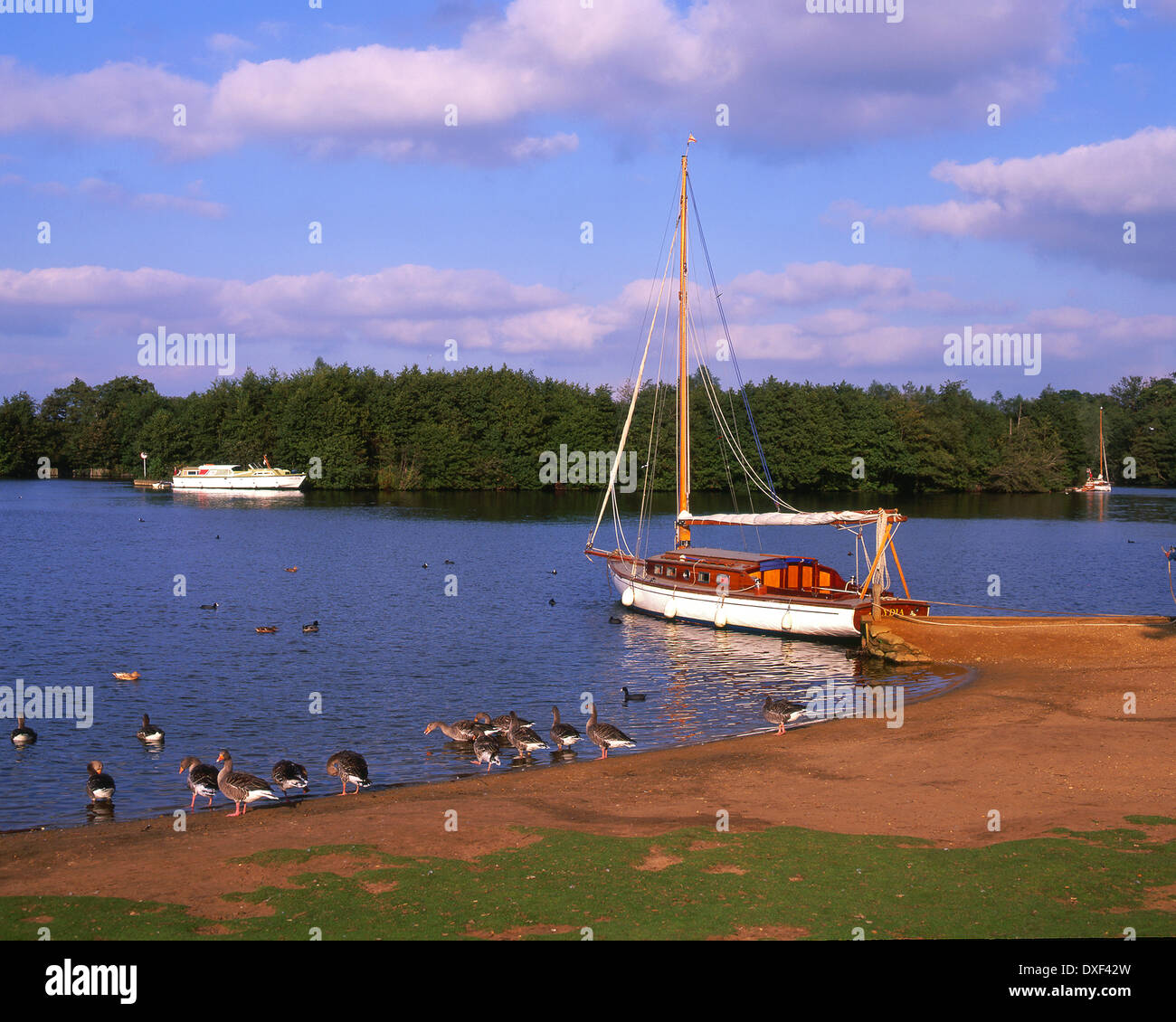 Salhouse Breite auf den Norfolk Broads, South East England Stockfoto