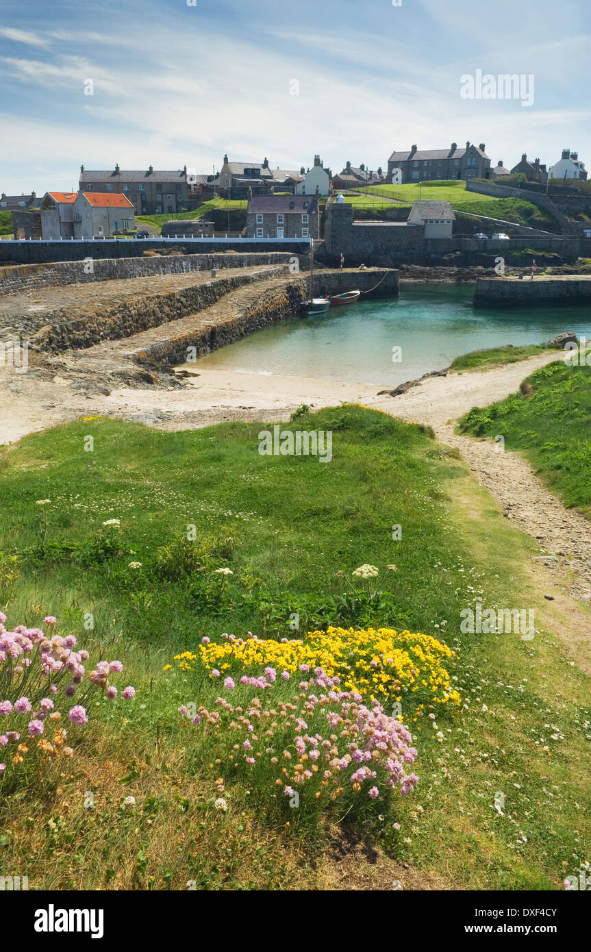 Hafen von Portsoy, Banffshire, Aberdeenshire, Schottland. Stockfoto