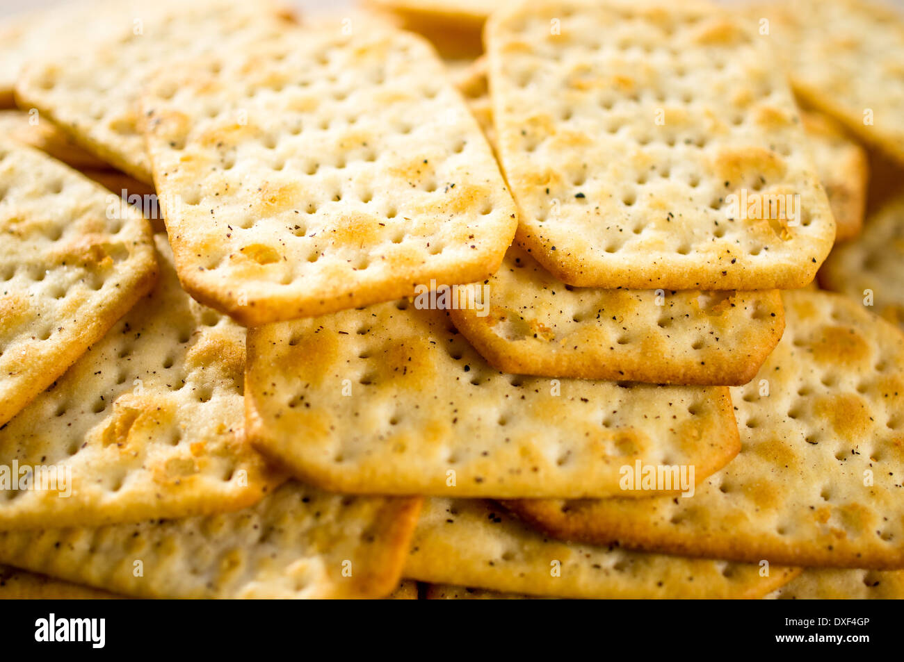 Saltine Cracker mit Gewürzen Stockfoto