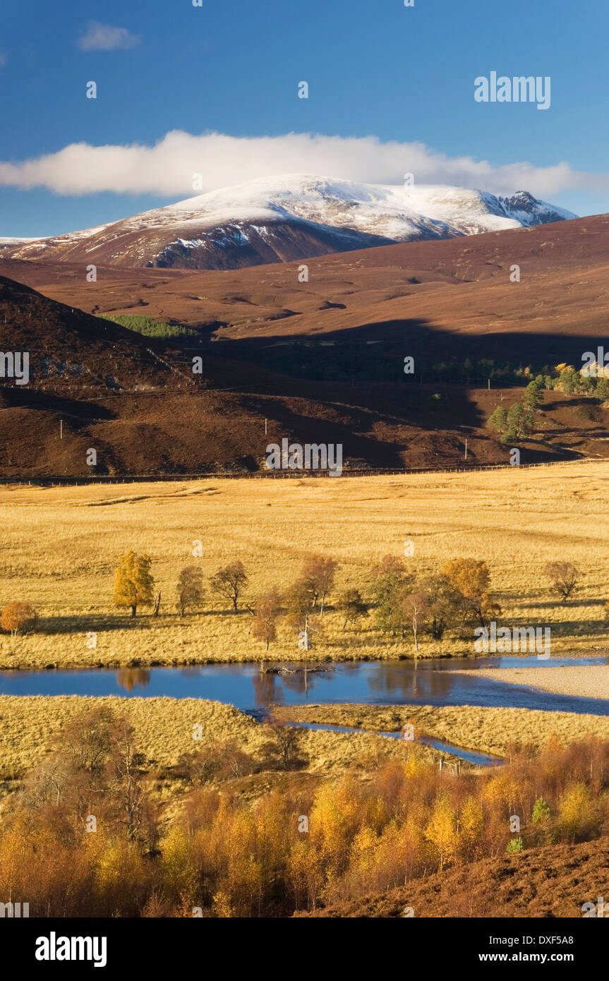 Der Fluss Dee in der Nähe von Braemar in Herbst, Aberdeenshire, Schottland, Großbritannien. Stockfoto