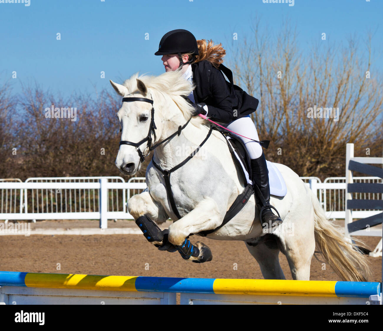 Junges Mädchen, ein weißes Pferd Pony über einen Sprung auf ein Springturnier Veranstaltung Reiten springen Stockfoto