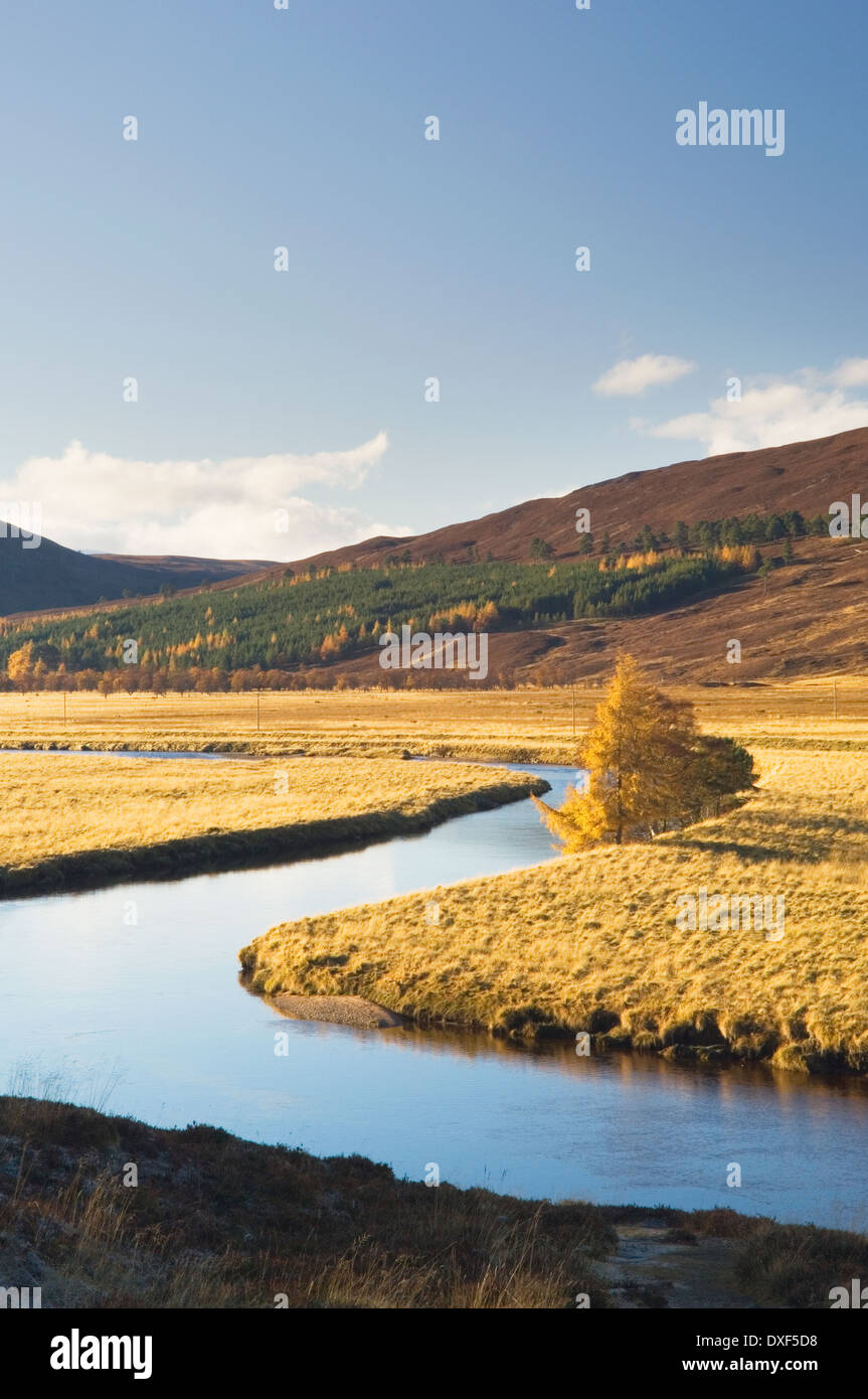 Der Fluss Dee in der Nähe von Braemar in Herbst, Aberdeenshire, Schottland, Großbritannien. Stockfoto