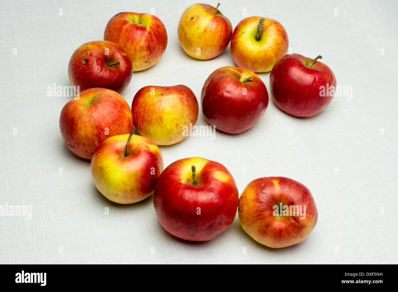 Bauern Äpfel auf einem weißen Hintergrund. Bio-Lebensmittel Stockfoto