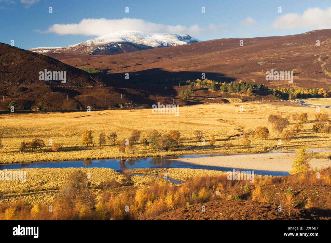 Der Fluss Dee in der Nähe von Braemar in Herbst, Aberdeenshire, Schottland, Großbritannien. Stockfoto