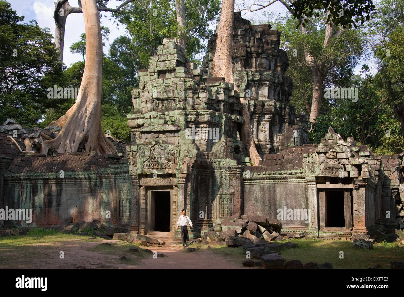 Die Ruinen von der Tempel Ta Prohm in Angkor Wat in Camboda. Stockfoto