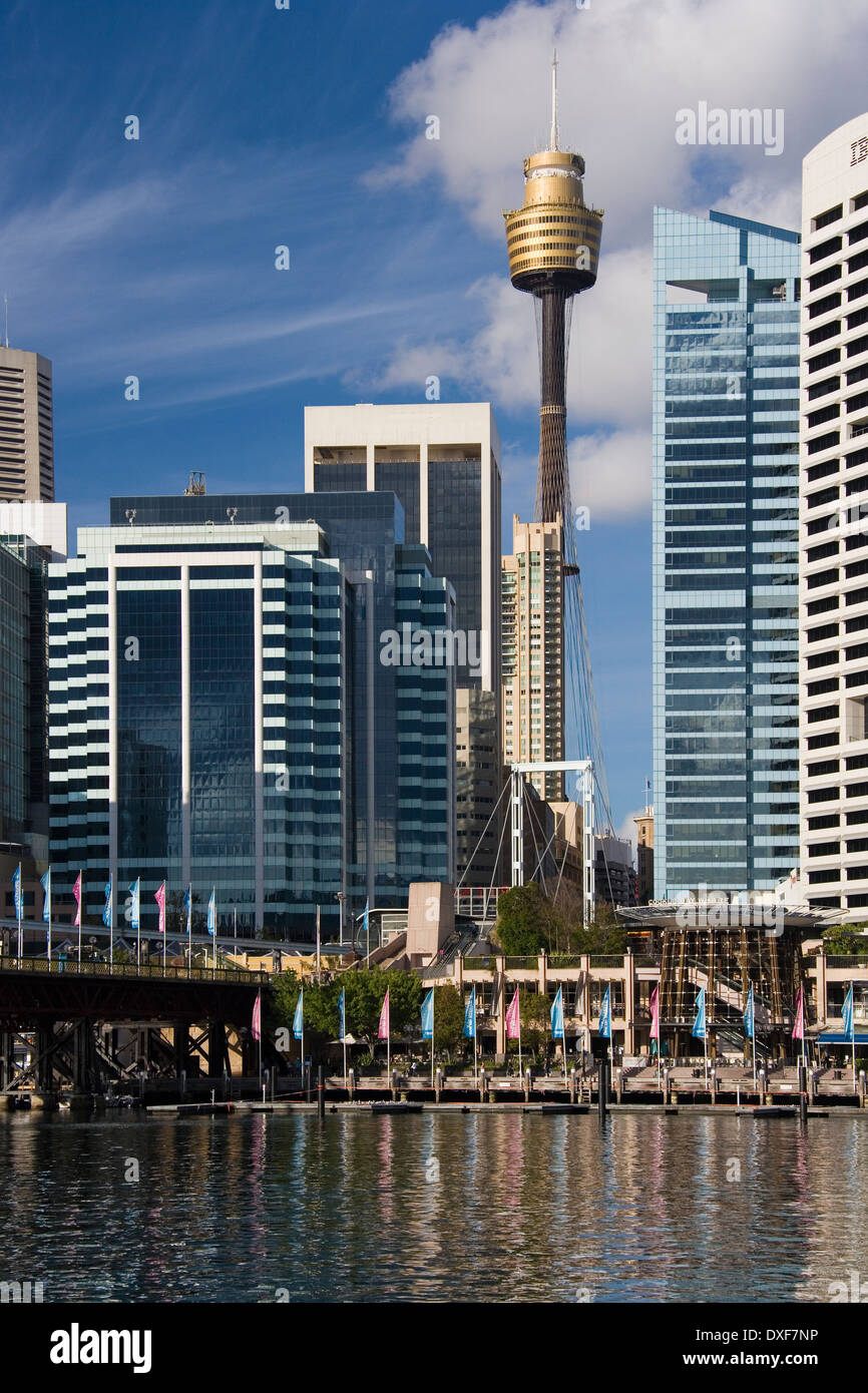 Die Sydney Skytower von Darling Harbour in Sydney, New South Wales in Australien gesehen. Stockfoto
