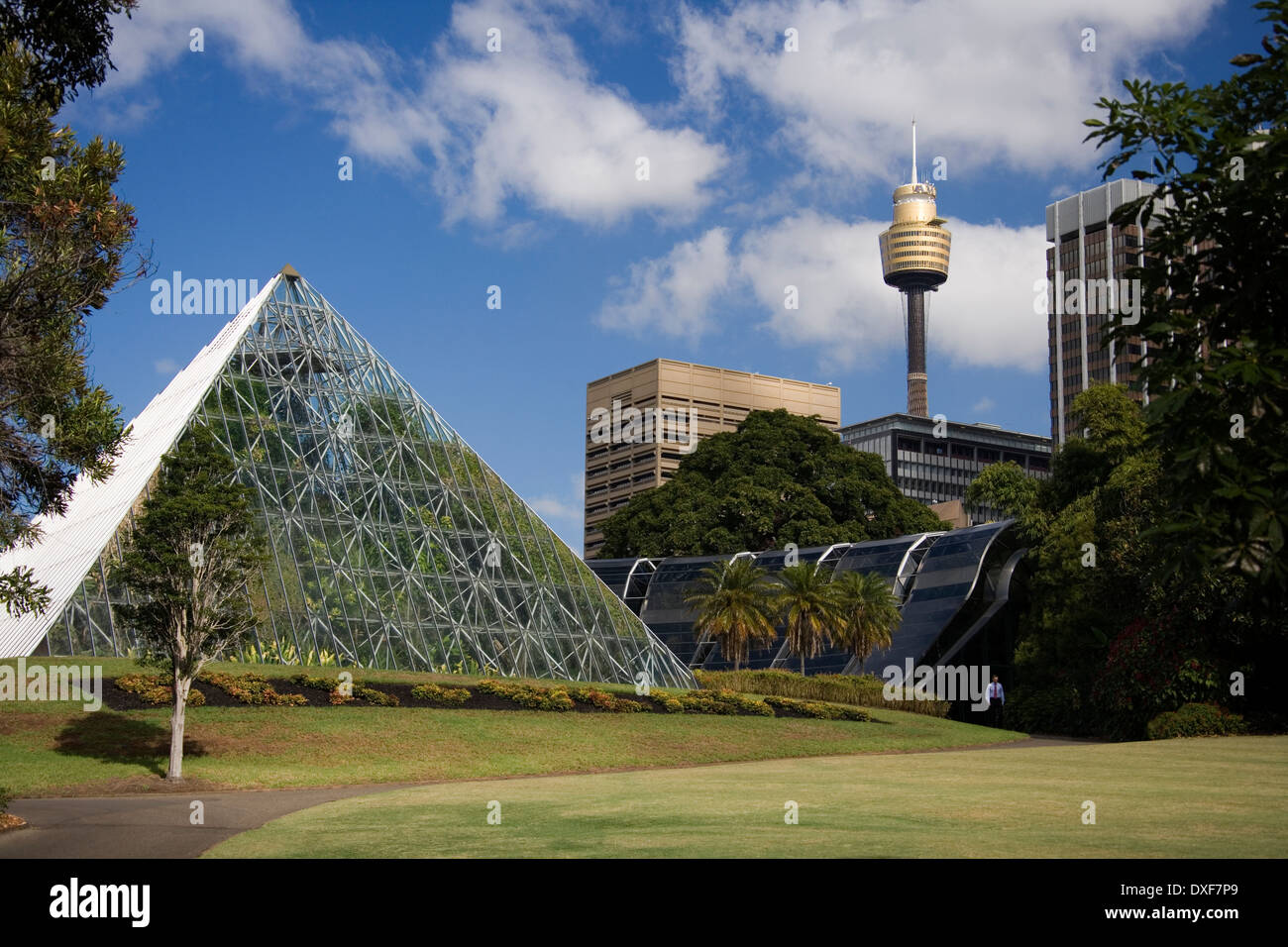 Die Pyramide-Gewächshaus im Botanischen Garten in Sydney in Australien. Stockfoto
