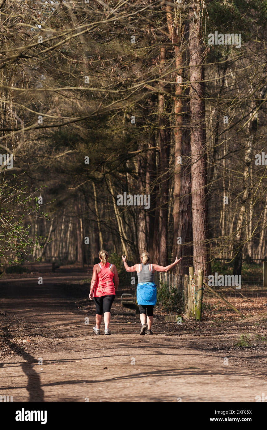 Zwei Frauen trainieren in den Wald. Stockfoto