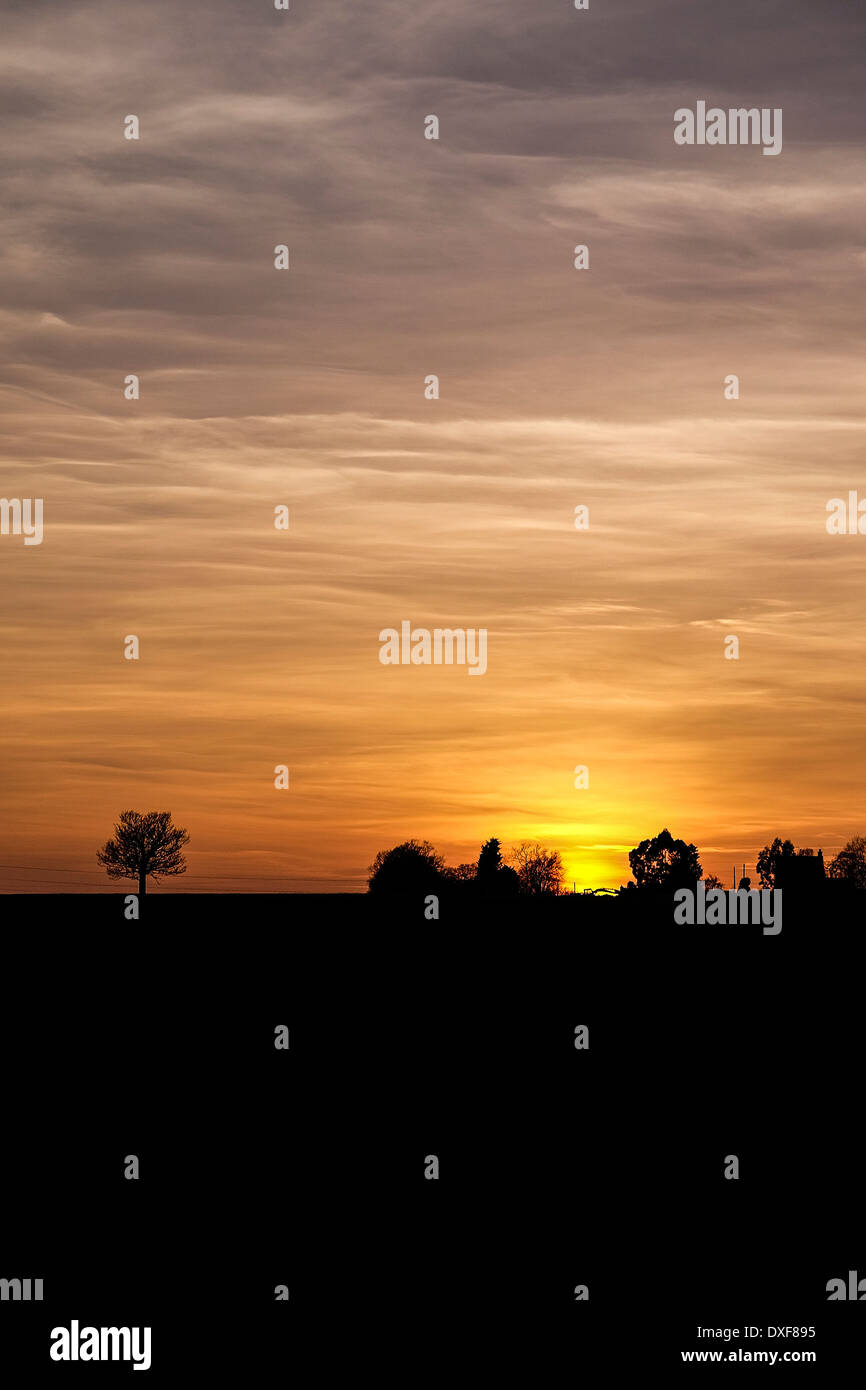 Sonnenuntergang über Felder in Essex. Stockfoto