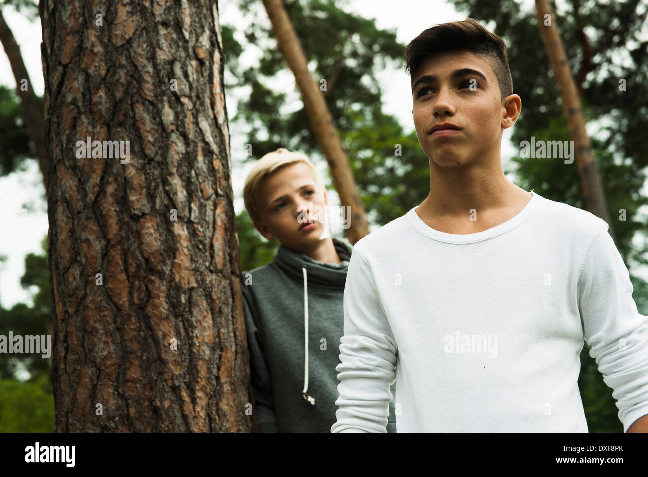 Porträt von zwei jungen stehend nahe bei Baum im Park, Deutschland Stockfoto