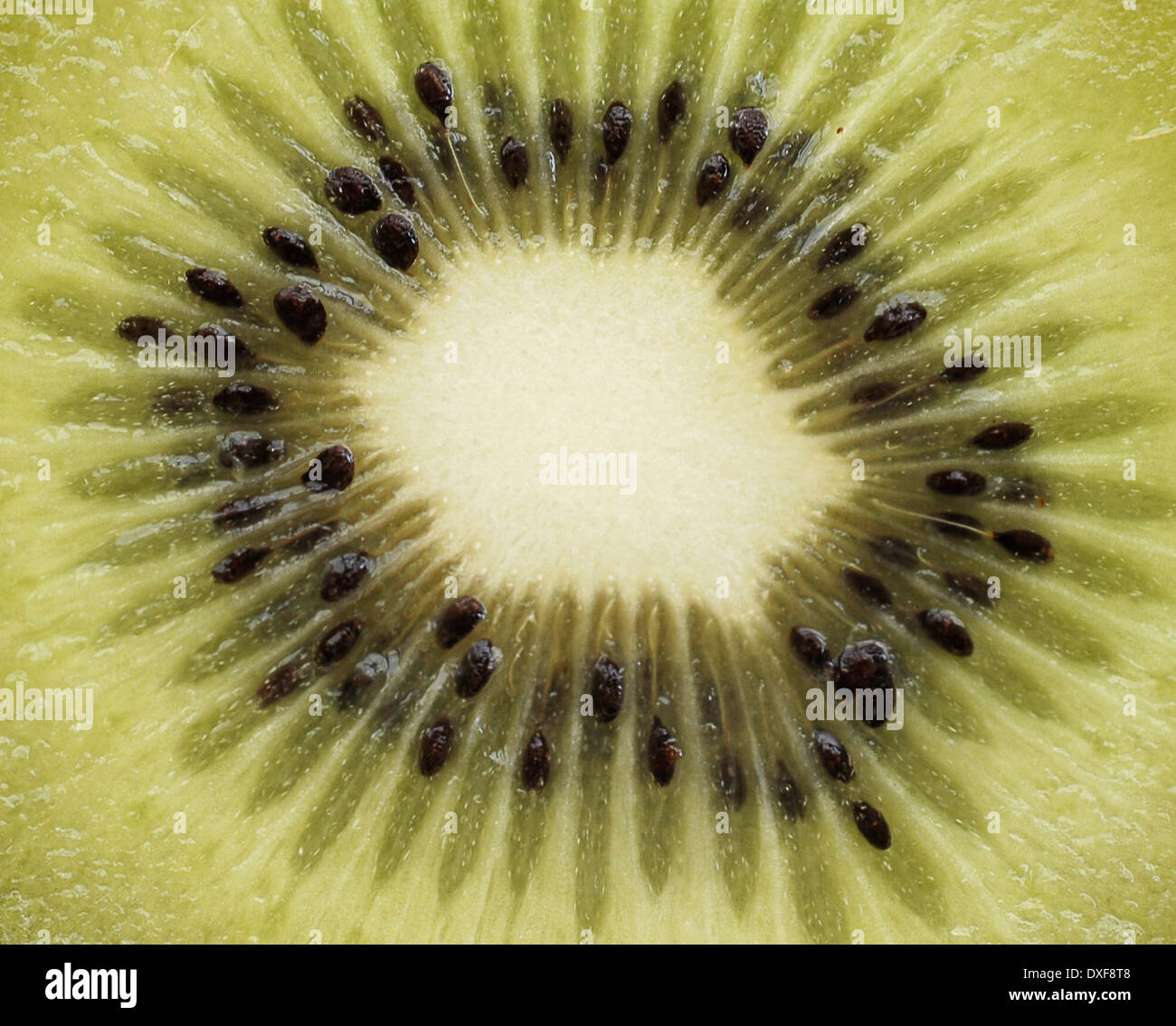 Kiwi Frucht close-up, Stockfoto