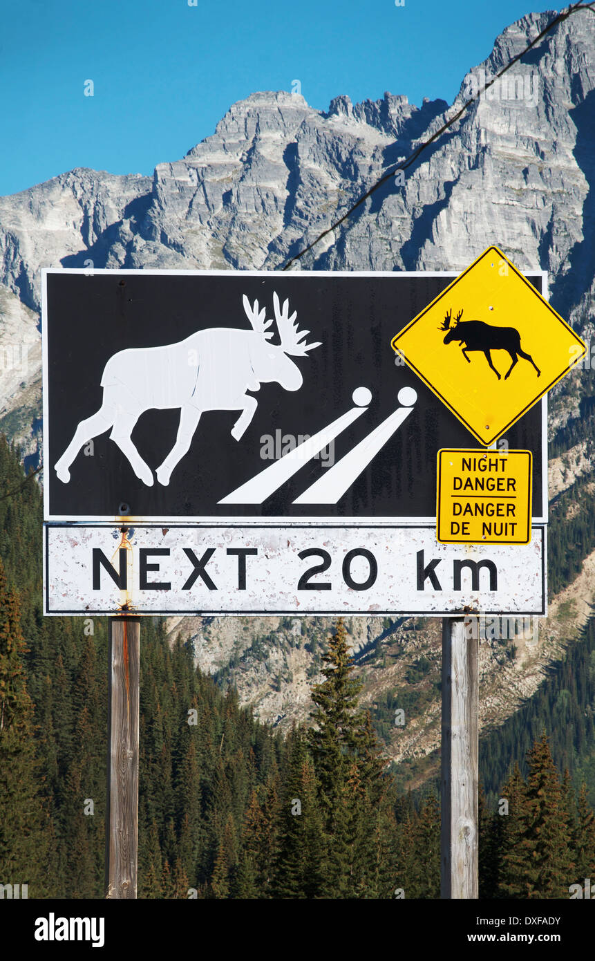 Moose crossing, Warnschild, Britisch-Kolumbien Interieur, b.c., Kanada Stockfoto