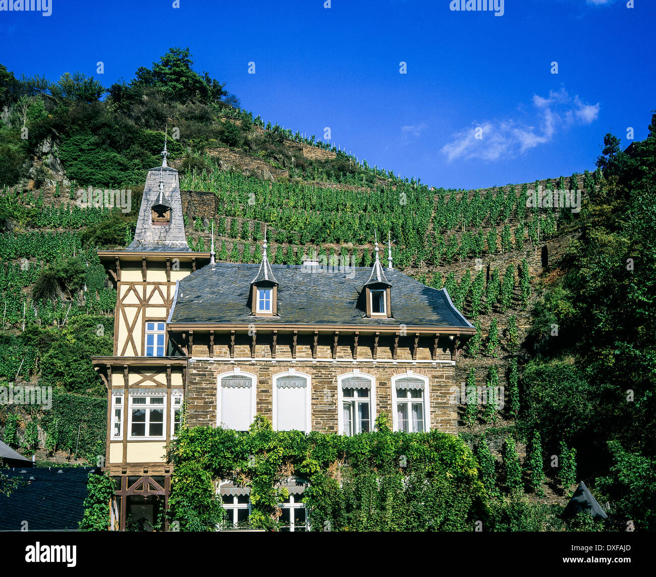Winzerhaus Und Weinberg Ahrtal Rheinland Pfalz Deutschland Europa winzerhaus-und-weinberg-ahrtal-rheinland-pfalz-deutschland-europa