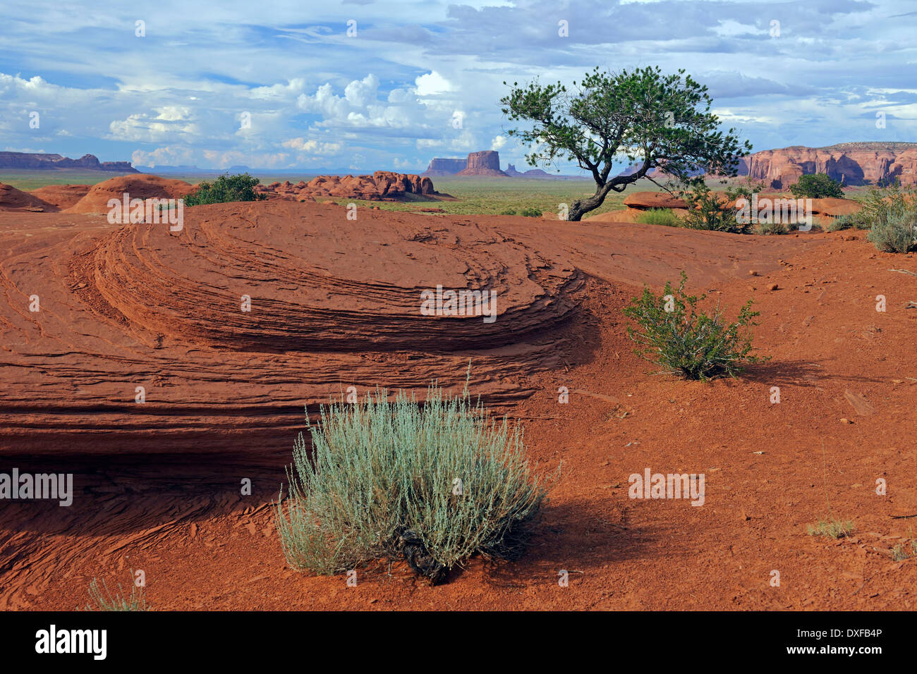 Roter Sandstein, Mystery Valley, Arizona, USA Stockfoto