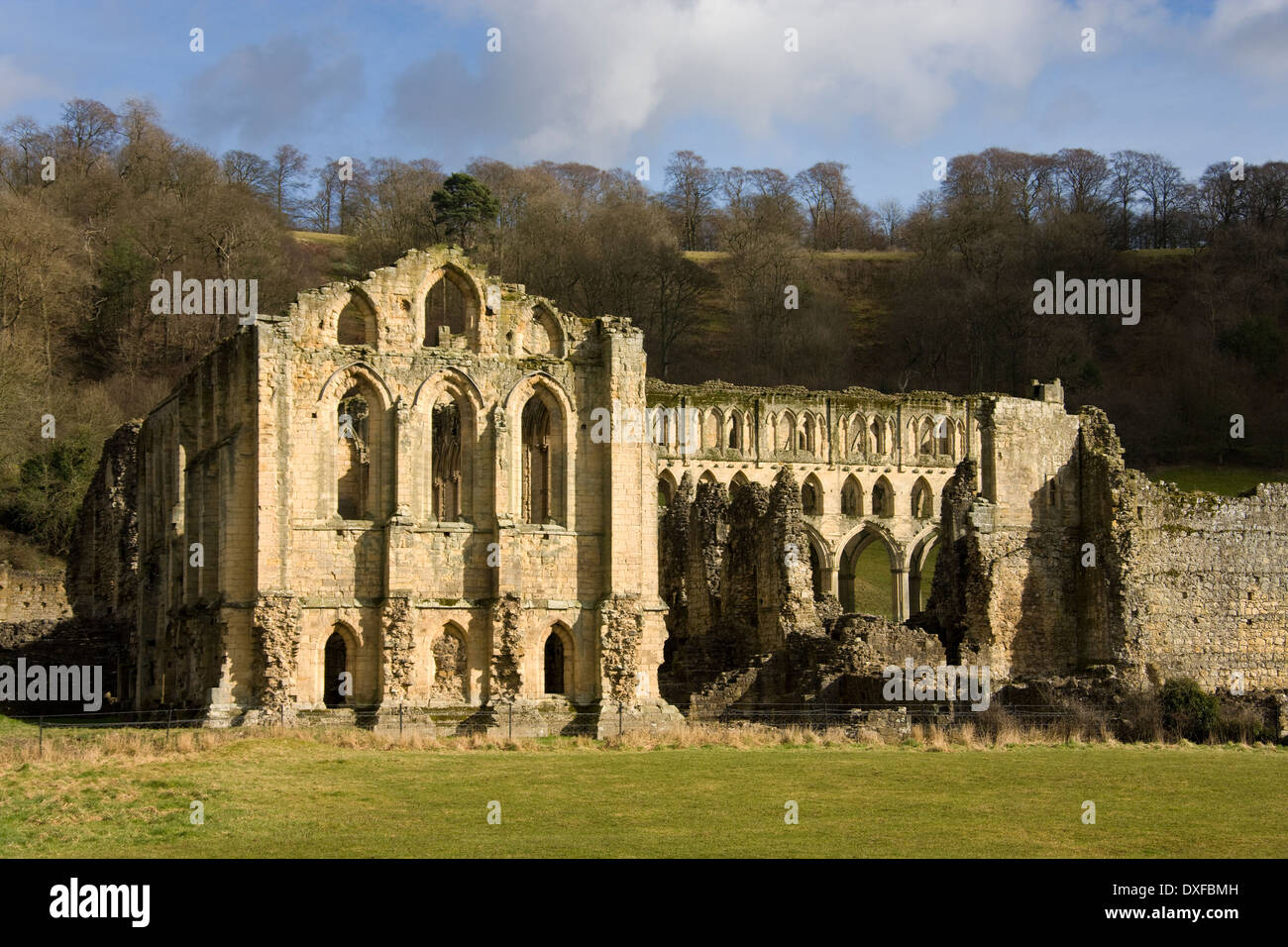 Ruinen von Rievaulx Abbey in North Yorkshire im Nordosten von England Stockfoto