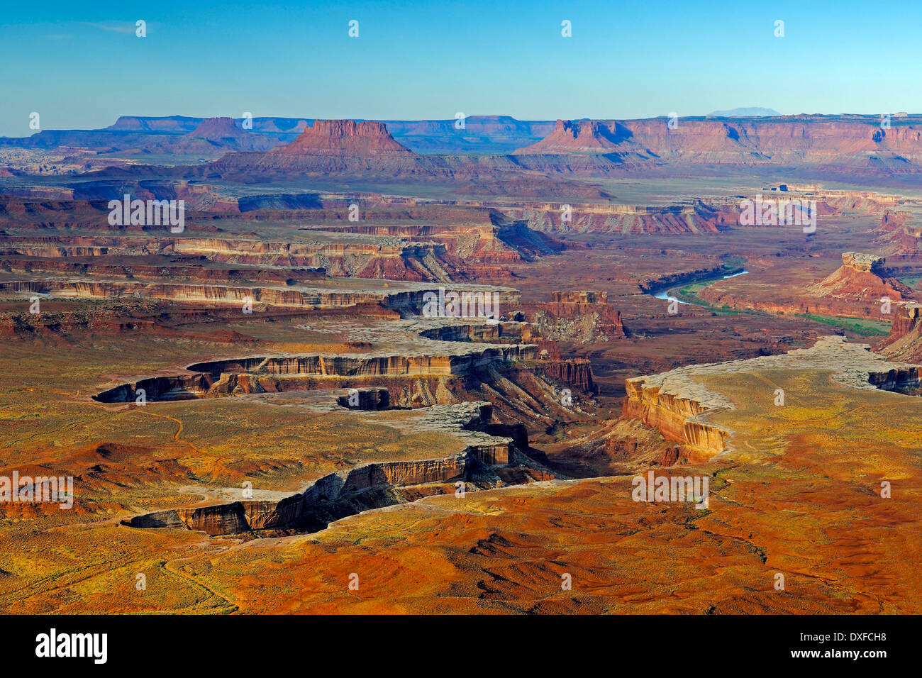 Green River View Point, Canyonlands National Park, Utah, USA / Morgenlicht Stockfoto