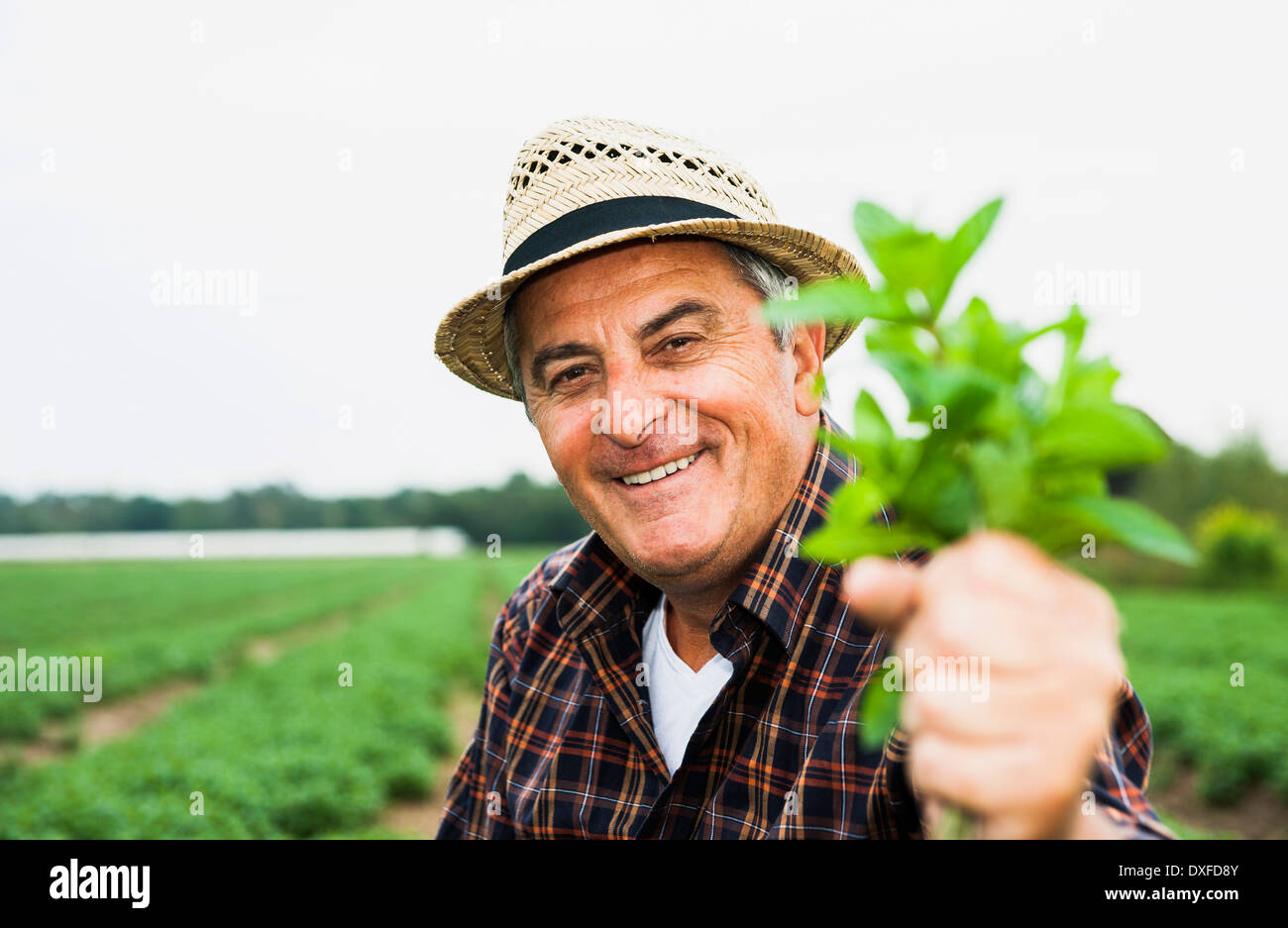 Close-up Portrait von Bauer stehen im Feld Betrieb Werk, lächelnd und Blick in die Kamera, Hessen, Deutschland Stockfoto