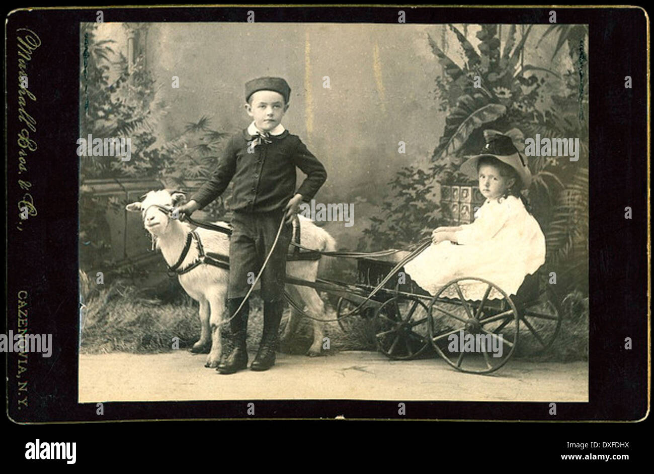 Zwei Kinder mit Ziege gezogenen Karren Stockfoto