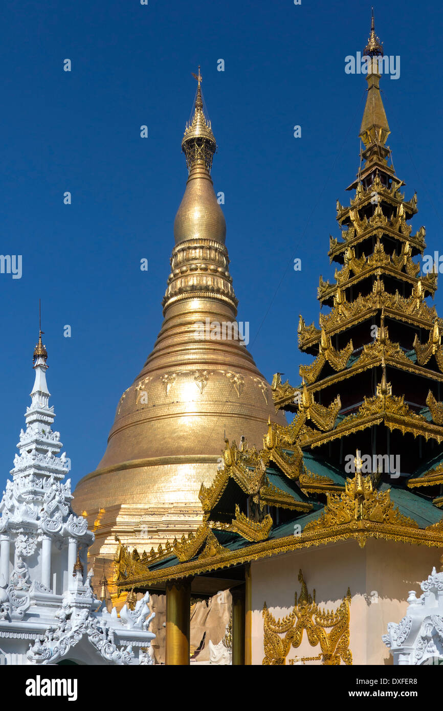 Die Shwedagon-Pagode - Yangon in Myanmar (Burma) Stockfoto
