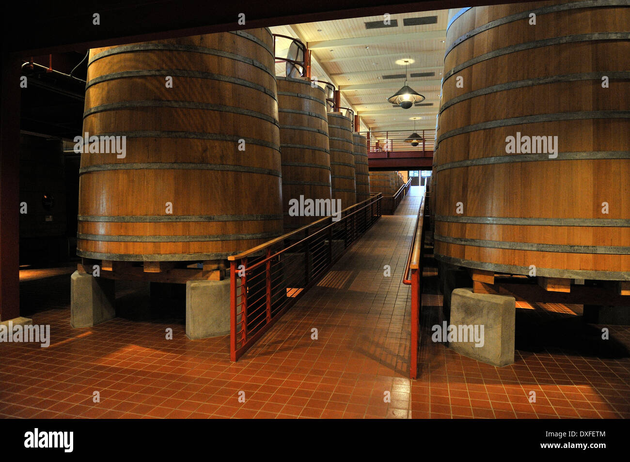 Eiche Gärung Fässer, Robert Mondavi Winery, Napa Valley, Kalifornien, USA Stockfoto