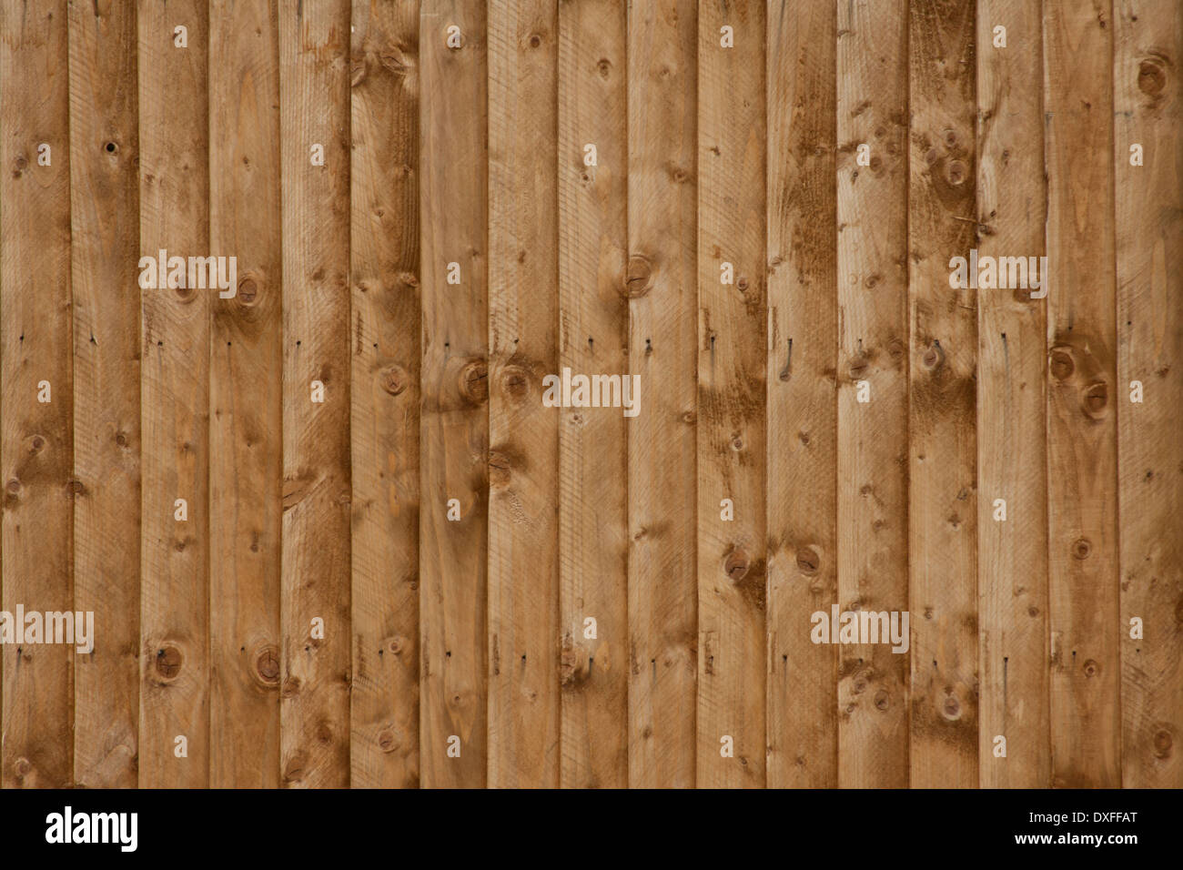 Holz Stockfoto