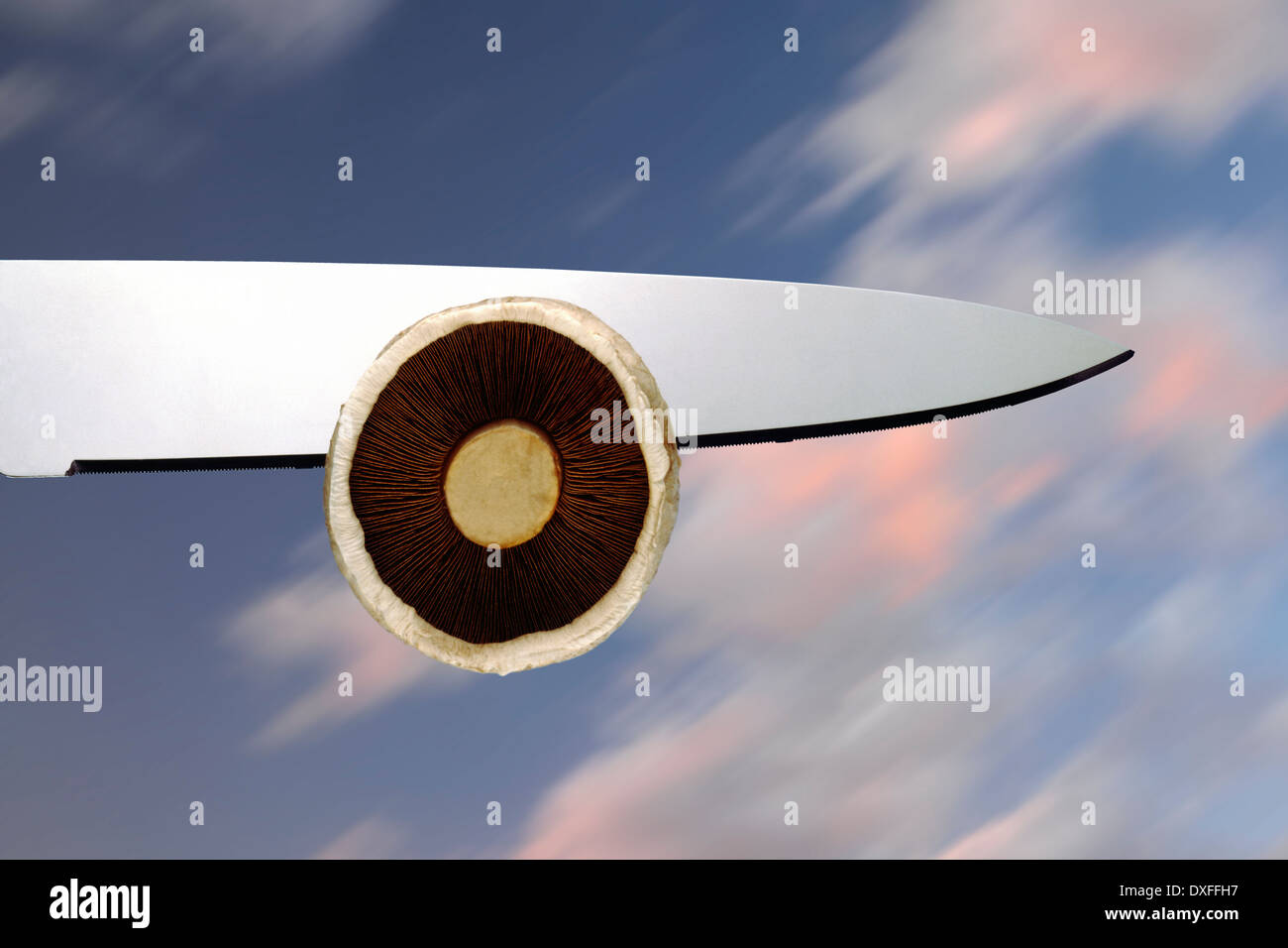 Messer und Pilz "Airline Catering" illustrieren Stockfoto