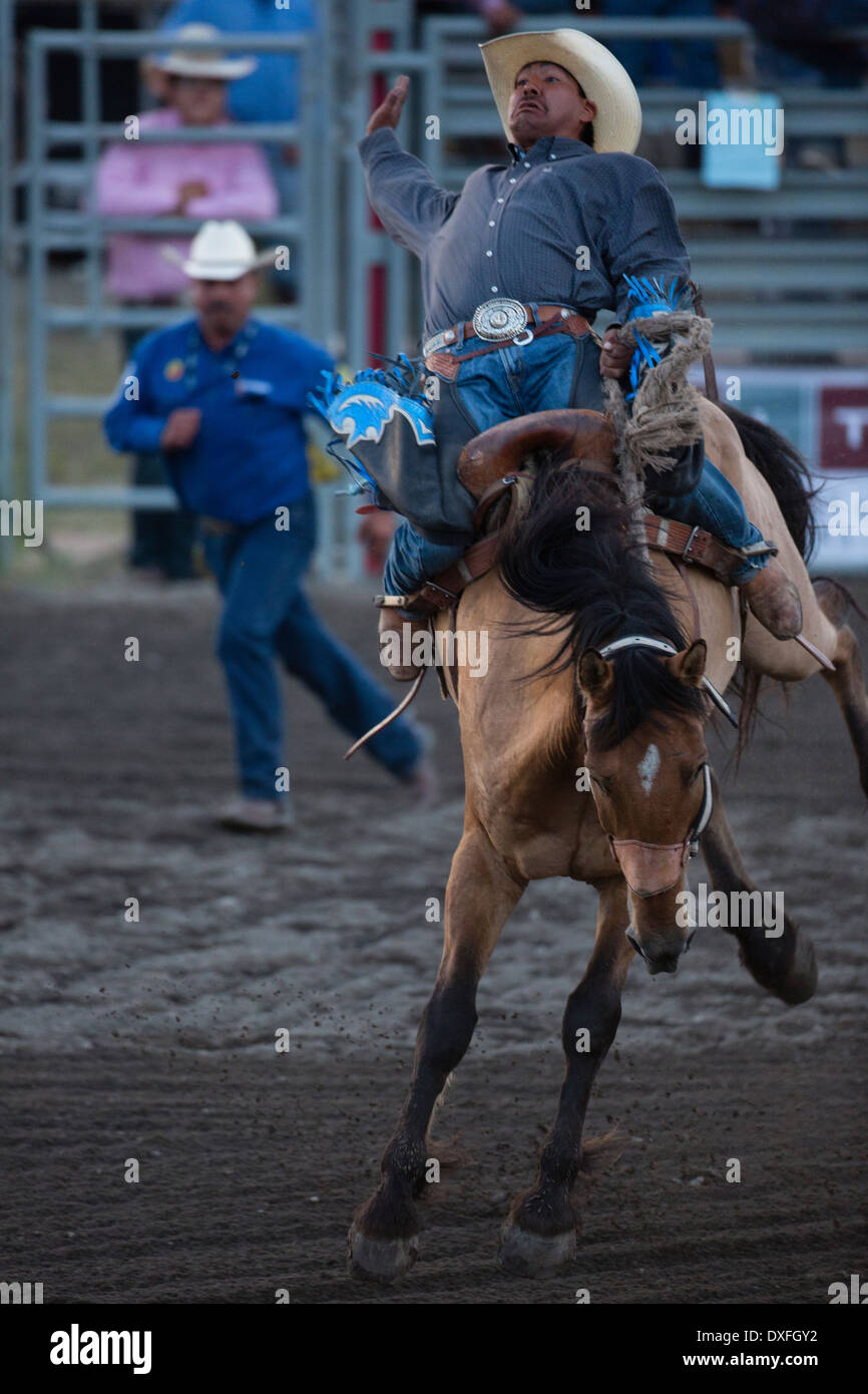 Ein Native American Cowboy reitet in den Sattel Bronc Ereignis beim Tsuu selber indischer Rodeo in Bragg Creek westlich von Calgary, Alberta. Stockfoto